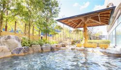 中津川温泉 クアリゾート湯舟沢１