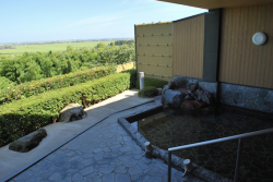 ごまどう湯っ多里館1