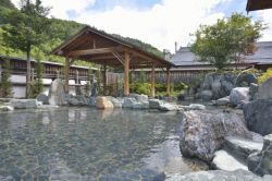 信州平谷温泉 ひまわりの湯１