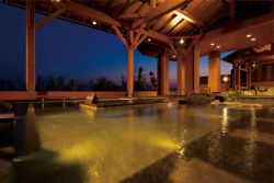 名東温泉花しょうぶ１