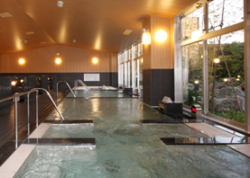 コロナの湯 豊川店１