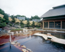 半田天然温泉 ごんぎつねの湯１