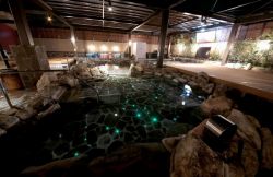 春日井 笑顔の湯１