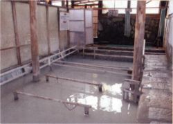 別府温泉保養ランド１