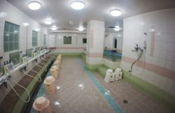 カプセル＆スパ レディース５１０１