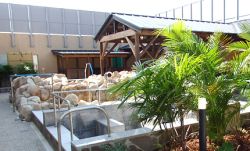 恋野温泉うはらの湯１