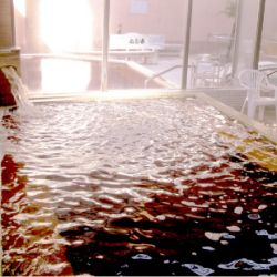 鹿島セントラル天然温泉美人の湯 ゆの華１