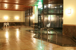 苫小牧温泉ほのか１