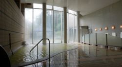 スパティオ小淵沢 延命の湯