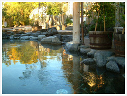 天然温泉 気楽坊１