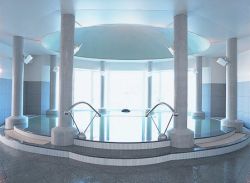 秋葉温泉 花水1