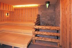 ロッキーサウナはワイルド