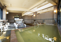 温泉ホテル八雲遊楽亭１