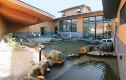 上尾天然温泉 日々喜の湯１