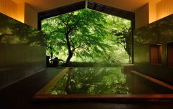 星野リゾート 界 箱根１