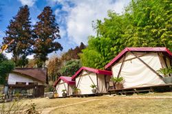 ウッドデザインパーク岡崎１