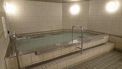 ルネサンス蕨241