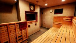 ルネサンス野田241