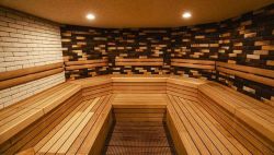 ルネサンス曳舟241