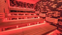 ルネサンス蒔田241