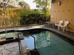 ルネサンス春日241