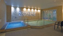 ルネサンス光の森241