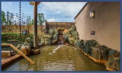 春日部温泉 湯楽の里１