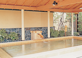 大垣コロナワールド天然温泉コロナの湯大垣店１