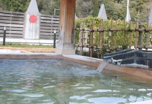 おろち湯ったり館１