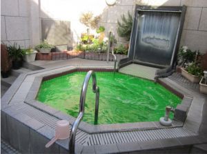 銭湯ゆープラザ１