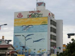 サウナ＆カプセルコスモシティ福山１