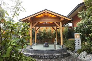 豊田挙母温泉 おいでんの湯１