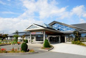 ひなの湯 ひなの宿１