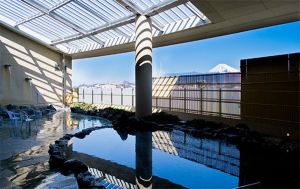 湯～トピアかんなみ１