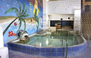 アクアドルフィンランド１