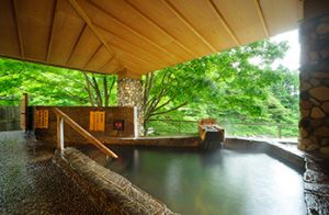 新鉛温泉 愛隣館1