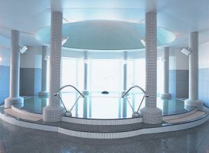 秋葉温泉 花水1