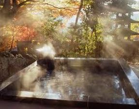 山水園 翠山の湯１