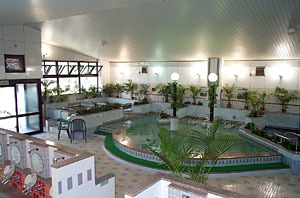 越谷天然温泉美人の湯 ゆの華１