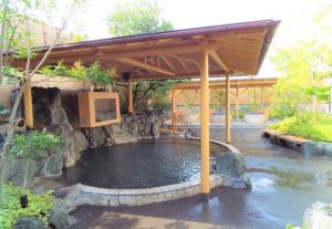 湯源郷 太平のゆ 忠岡店１