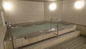 ルネサンス蕨241