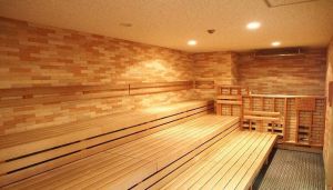 ルネサンス北朝霞241