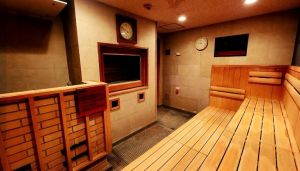 ルネサンス野田241