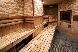 ルネサンス青砥241