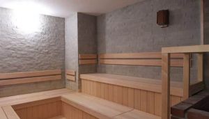 ルネサンス仙川241