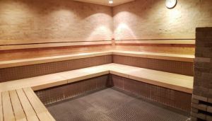 ルネサンス東伏見241