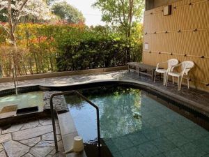 ルネサンス春日241