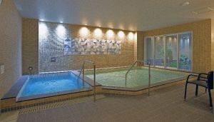 ルネサンス光の森241