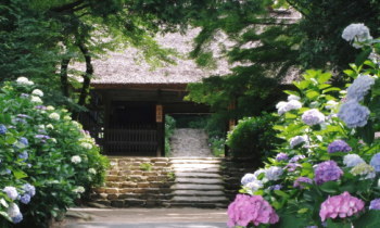 周防阿弥陀寺１