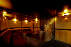 サウナ室はikiサウナ